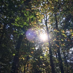 Meet your Posher, Cole